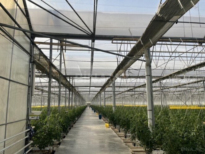 Объект - пос. Зире - 3000 м² (2)