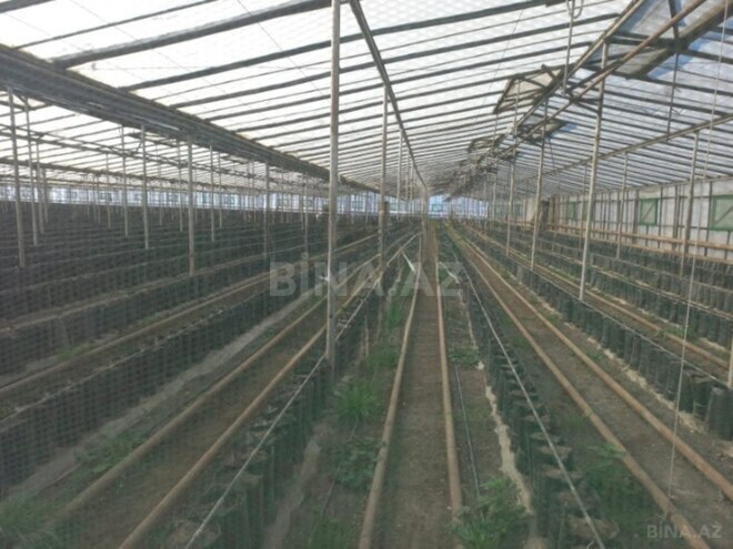 Объект - пос. Зире - 3000 м² (5)