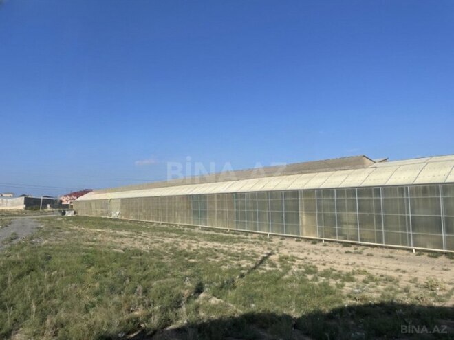 Объект - пос. Зире - 3000 м² (3)