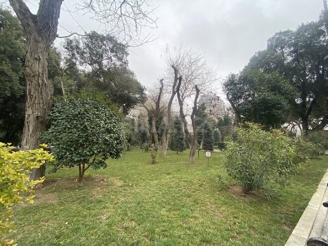 3 otaqlı yeni tikili - Nizami m. - 170 m² (17)