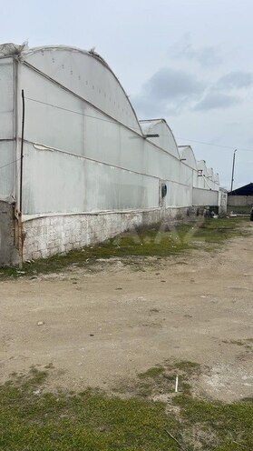 Obyekt - Buzovna q. - 7000 m² (3)