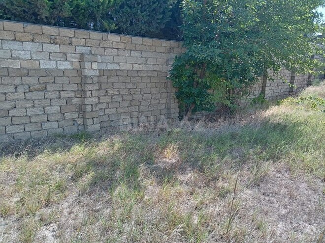 Torpaq - Sumqayıt - 12 sot (8)