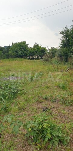 Участок - Астара - 12 сот (3)