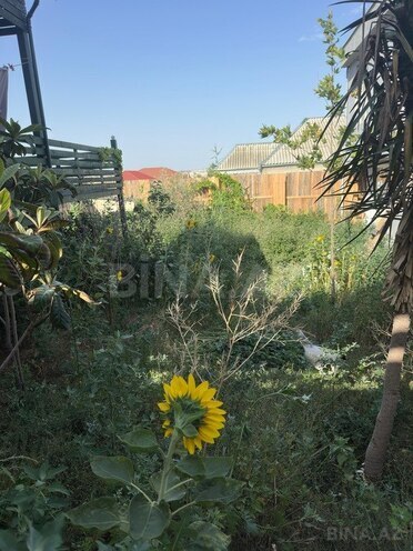 4 otaqlı həyət evi/bağ evi - Novxanı q. - 80 m² (5)