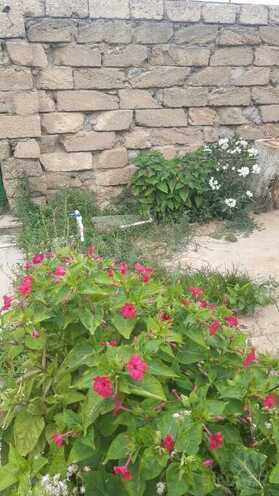 3 otaqlı həyət evi/bağ evi - Qala q. - 100 m² (25)