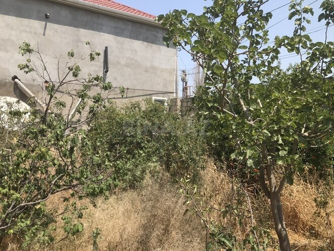 3 otaqlı həyət evi/bağ evi - Atyalı q. - 68 m² (7)