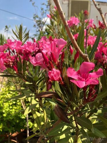 Продаётся 4-комн. новостройка 145.5 м², м. 8 ноября, photo 14 from 32