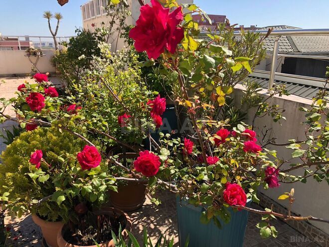 Продаётся 4-комн. новостройка 145.5 м², м. 8 ноября, photo 11 from 32