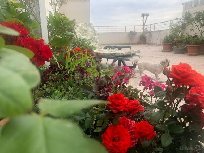 Продаётся 4-комн. новостройка 145.5 м², м. 8 ноября, photo 20 from 32