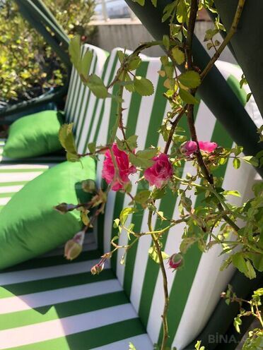 Продаётся 4-комн. новостройка 145.5 м², м. 8 ноября, photo 12 from 32