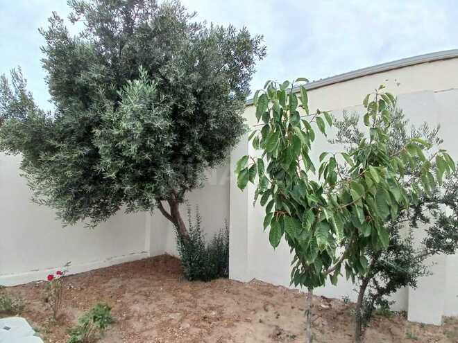 3 otaqlı həyət evi/bağ evi - Albalılıq q. - 120 m² (15)