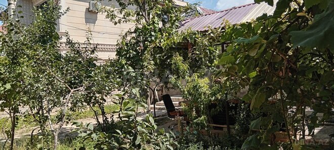 4 otaqlı həyət evi/bağ evi - Qala q. - 85 m² (5)