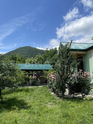 3 otaqlı həyət evi/bağ evi - Qəbələ - 80 m² (2)
