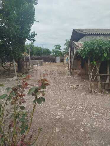 2 otaqlı həyət evi/bağ evi - İsmayıllı - 45 m² (3)