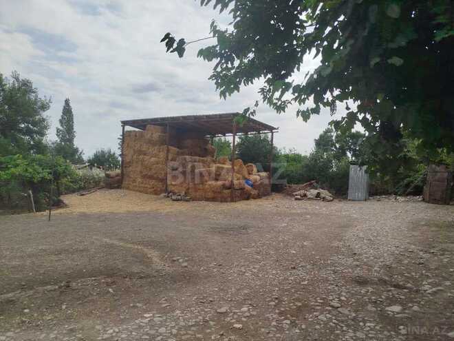 2 otaqlı həyət evi/bağ evi - İsmayıllı - 45 m² (12)