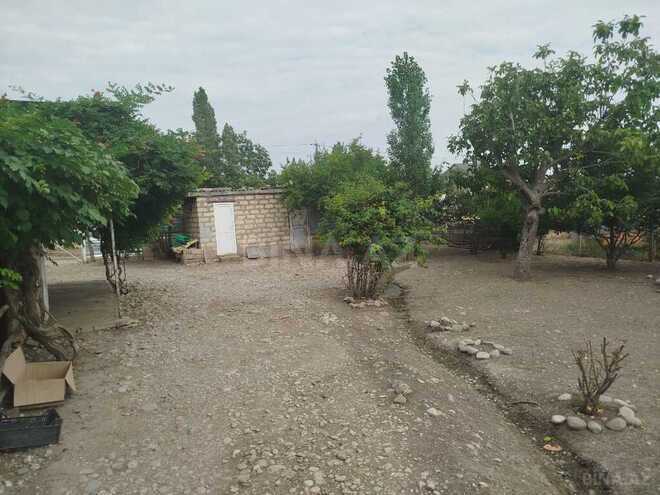 2 otaqlı həyət evi/bağ evi - İsmayıllı - 45 m² (17)