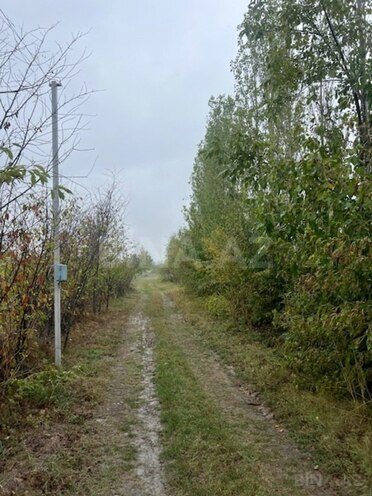 Участок - Хачмаз - 10 сот (8)
