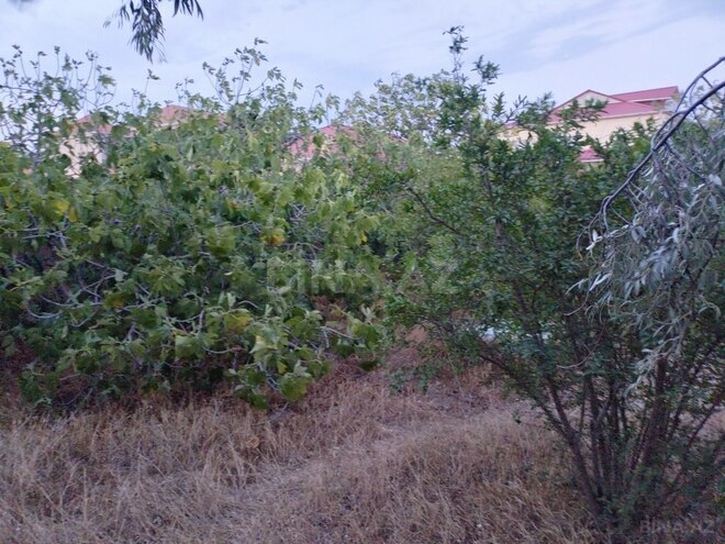 3 otaqlı həyət evi/bağ evi - Türkan q. - 110 m² (11)
