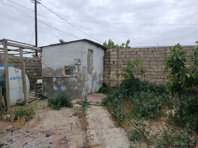 Torpaq - Albalılıq q. - 3 sot (4)