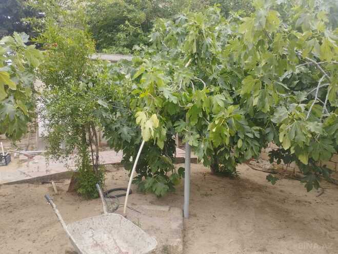 3 otaqlı həyət evi/bağ evi - Görədil q. - 100 m² (3)