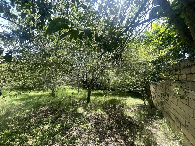 4 otaqlı həyət evi/bağ evi - Şamaxı - 200 m² (24)