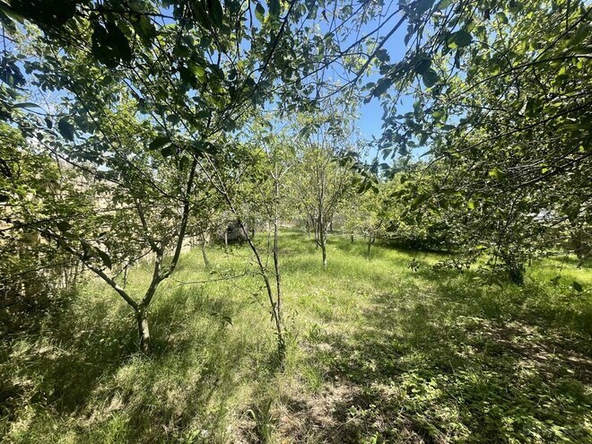 4 otaqlı həyət evi/bağ evi - Şamaxı - 200 m² (25)