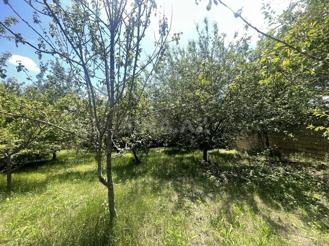 4 otaqlı həyət evi/bağ evi - Şamaxı - 200 m² (22)