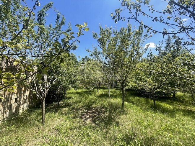4 otaqlı həyət evi/bağ evi - Şamaxı - 200 m² (23)