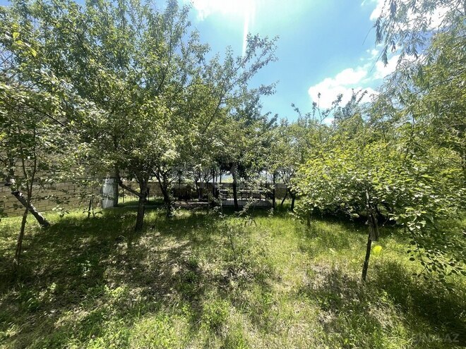 4 otaqlı həyət evi/bağ evi - Şamaxı - 200 m² (21)
