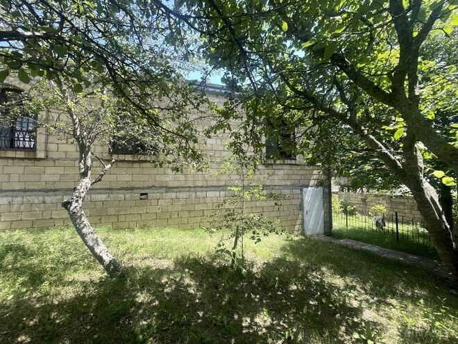 4 otaqlı həyət evi/bağ evi - Şamaxı - 200 m² (19)