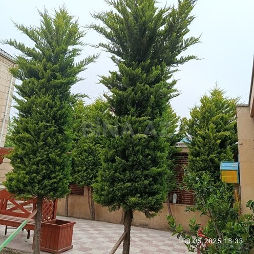 4 otaqlı həyət evi/bağ evi - Buzovna q. - 190 m² (3)