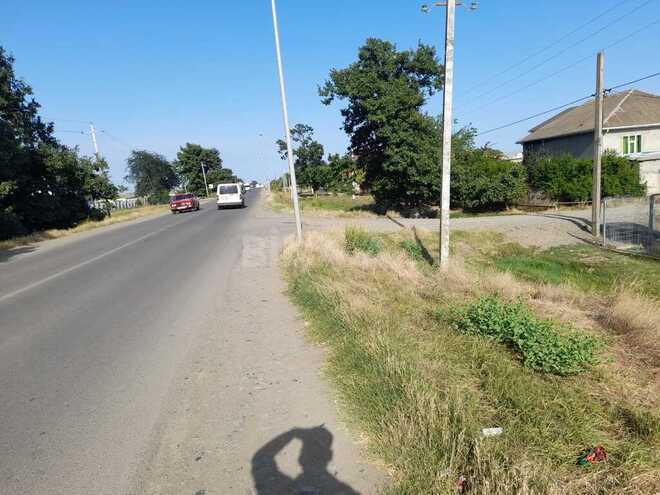Torpaq - Cəlilabad - 24 sot (3)