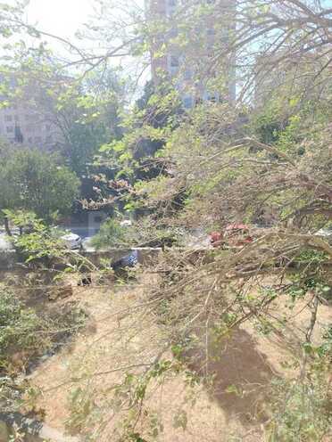 2 otaqlı köhnə tikili - Memar Əcəmi m. - 48 m² (10)