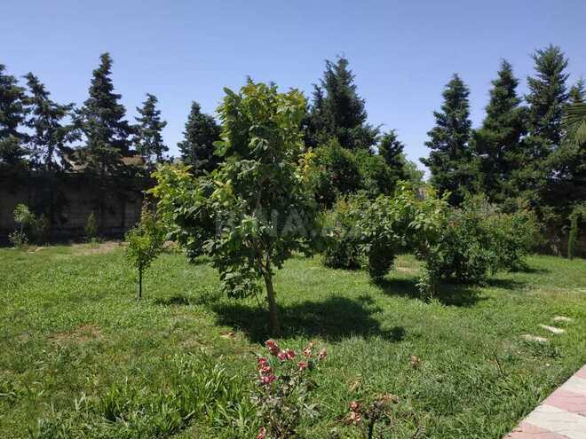 5 otaqlı həyət evi/bağ evi - Buzovna q. - 250 m² (12)