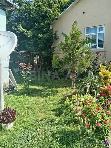 3 otaqlı həyət evi/bağ evi - Qəbələ - 110 m² (1)