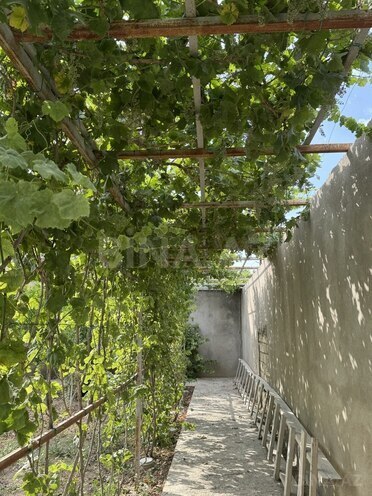 9 otaqlı həyət evi/bağ evi - Nardaran q. - 850 m² (17)