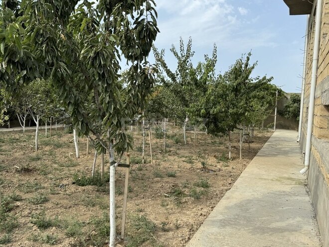 9 otaqlı həyət evi/bağ evi - Nardaran q. - 850 m² (21)