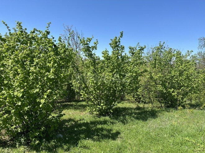 4 otaqlı həyət evi/bağ evi - Qusar - 160 m² (2)