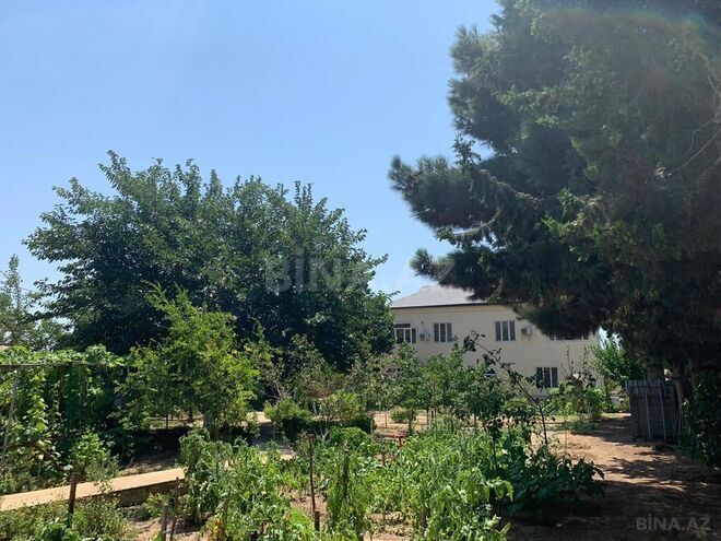 6 otaqlı həyət evi/bağ evi - Nardaran q. - 360 m² (7)
