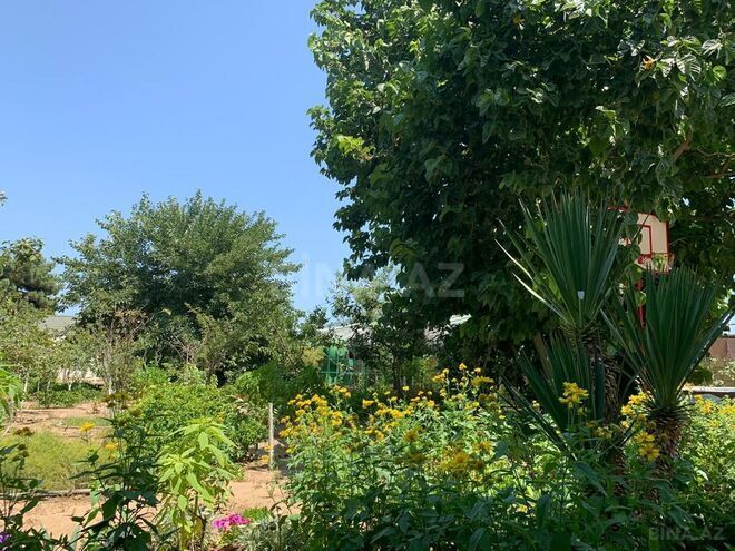 6 otaqlı həyət evi/bağ evi - Nardaran q. - 360 m² (6)