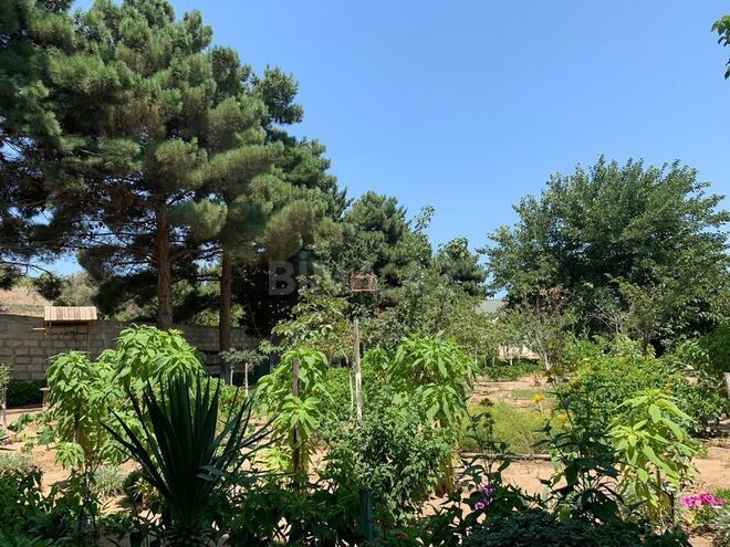6 otaqlı həyət evi/bağ evi - Nardaran q. - 360 m² (8)