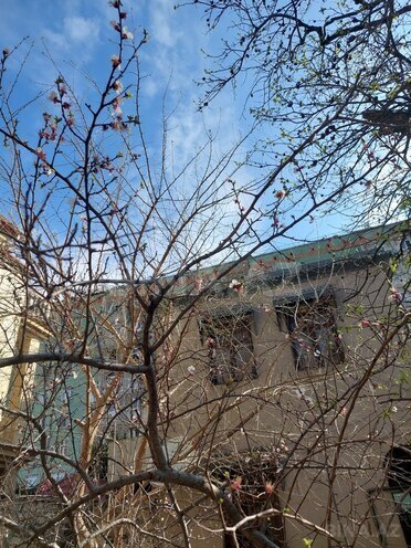 5 otaqlı həyət evi/bağ evi - Bakıxanov q. - 200 m² (2)