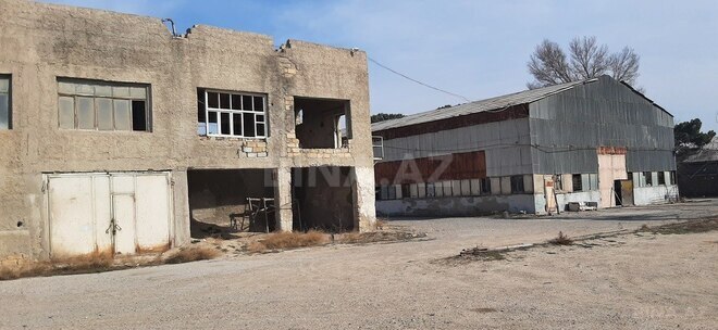Obyekt - Sumqayıt - 2500 m² (16)