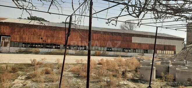 Obyekt - Sumqayıt - 2500 m² (9)