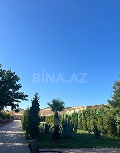 Obyekt - Novxanı q. - 5700 m² (18)