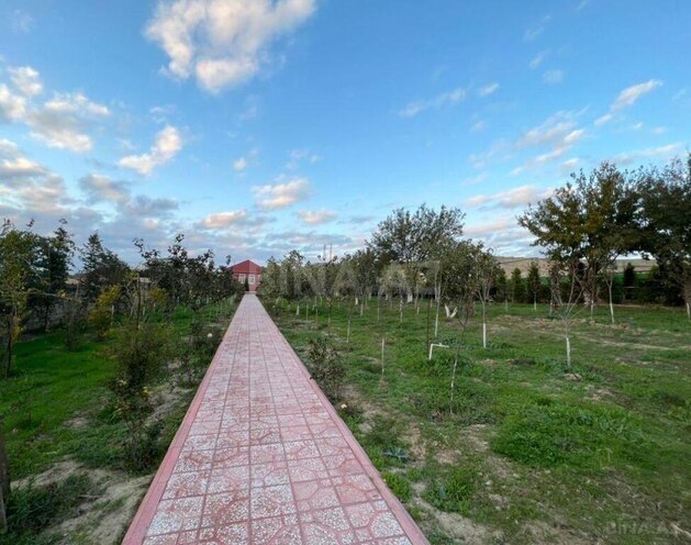 Obyekt - Novxanı q. - 5700 m² (21)