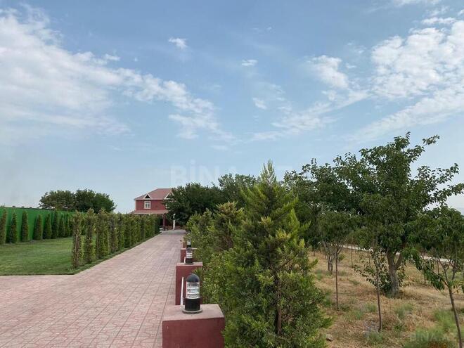 Obyekt - Novxanı q. - 5700 m² (11)