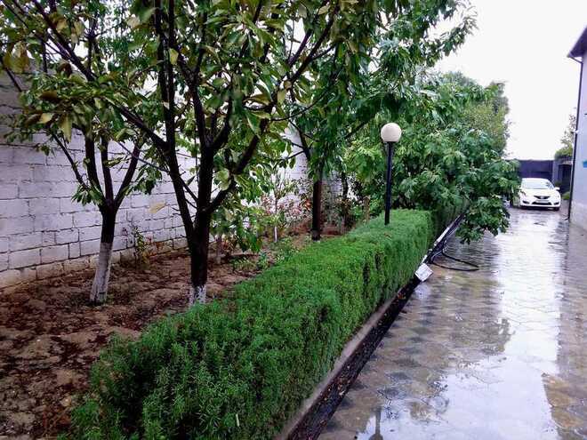 5 otaqlı həyət evi/bağ evi - Novxanı q. - 264 m² (5)