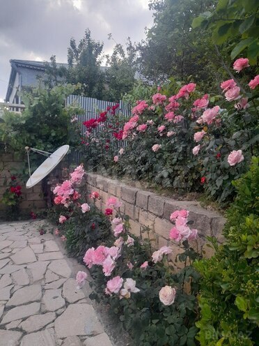 3 otaqlı həyət evi/bağ evi - Şamaxı - 120 m² (2)