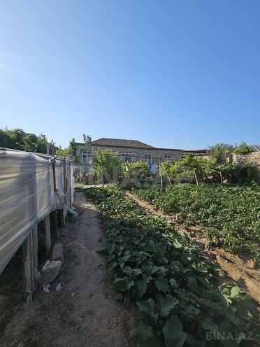 4 otaqlı həyət evi/bağ evi - Binə q. - 220 m² (2)